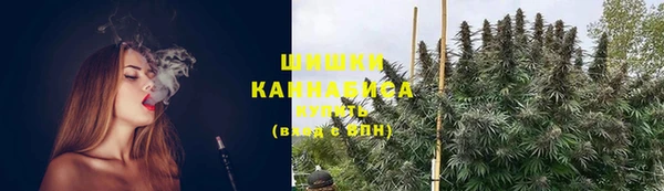 спайс Баксан