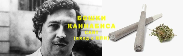 PSILOCYBIN Арсеньев